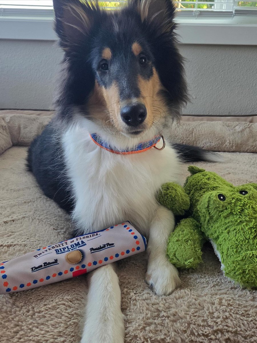 AmySmit52516739's tweet image. Happy Wednesday to all the good boys and girls! #goodboyfriday