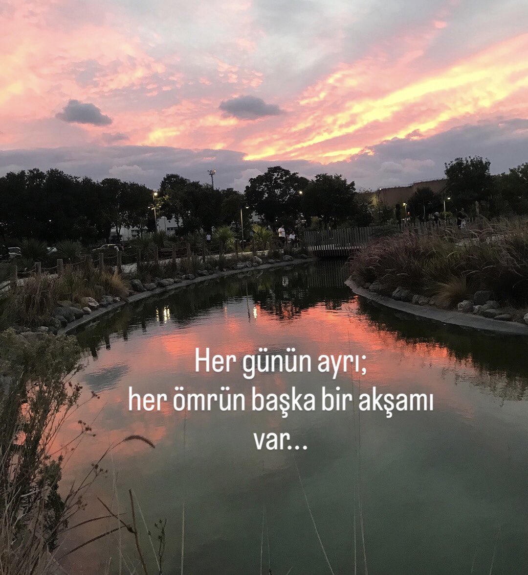 Handan Özduygu (@handanozduygu) on Twitter photo 