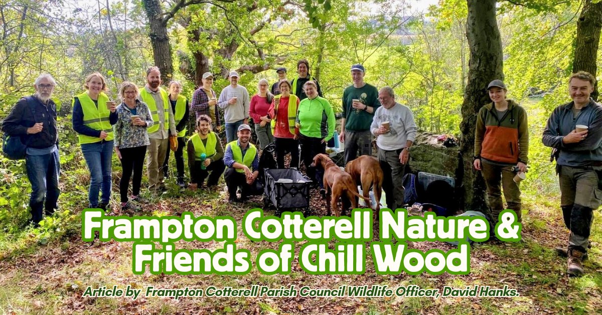 "Conservation volunteering brings people together to care for special places. It helps people feel more connected to each other and to nature, providing huge benefits to health and wellbeing... there’s also cake!

Read more at: framptoncotterell-pc.gov.uk/frampton-cotte…

#ChillWood #SouthGlos #FCPC
