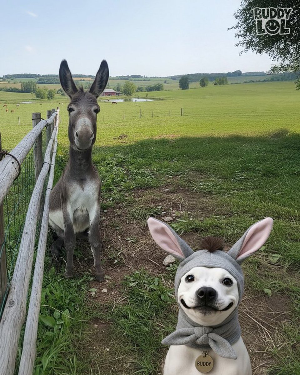 Kirsten Birgit tweet media