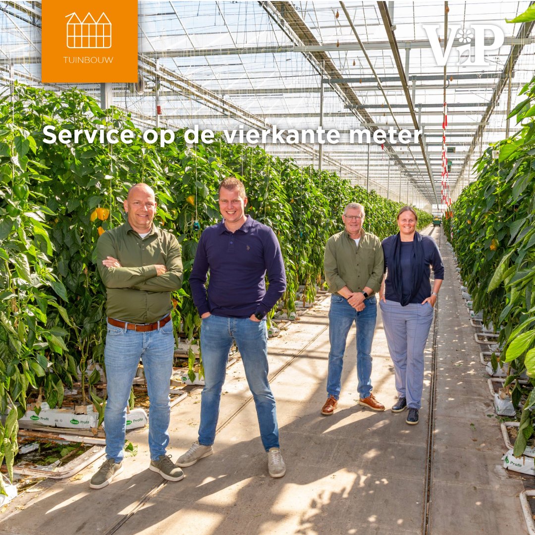 Schaalvergroting, strengere wetgeving en projecten zoals 100% Groen Geteeld vragen om een andere manier van samenwerken. Voor Oxin Growers en Van Iperen betekent dit korte lijnen, wederzijds vertrouwen en praktische afstemming. 

Van levermomenten en verpakkingsbehoeften tot