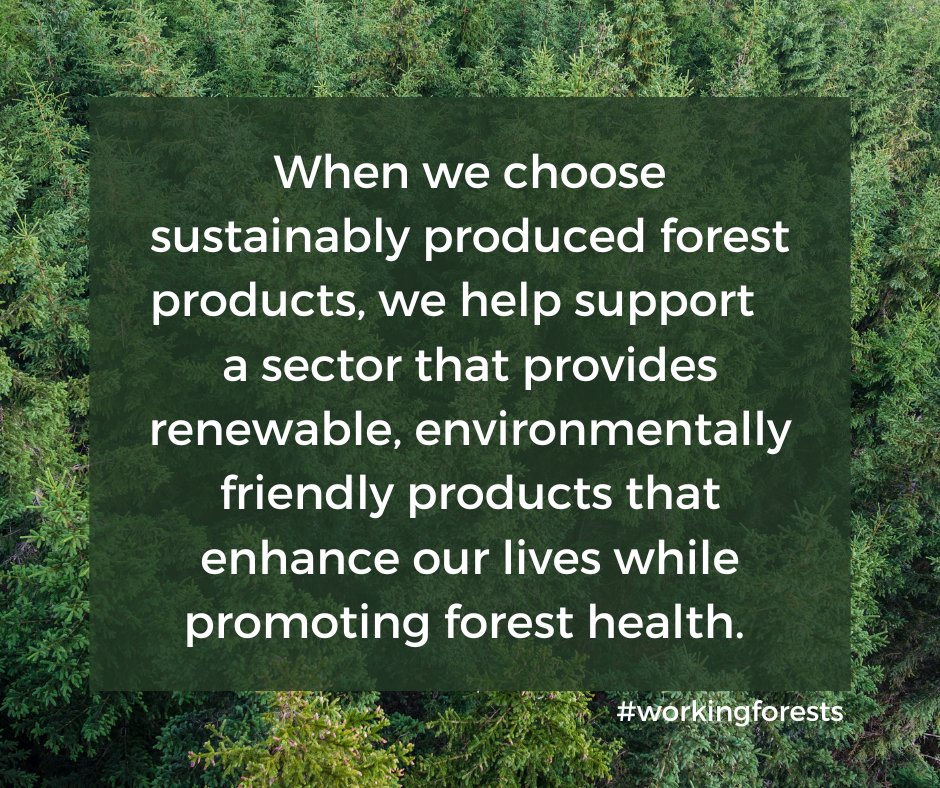Forest products are a natural solution for a sustainable future, providing a renewable, plant-based alternative to plastic, concrete, steel and fossil fuels. #workingforests #nationalforestproductsweek