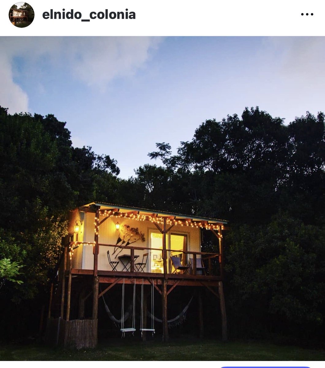 Si este tweet llega a 1000 RT, sale sorteo de DOS NOCHES EN EL NIDO COLONIA entre todos los que hagan RT.
Sorteo el 29 de octubre 🌿