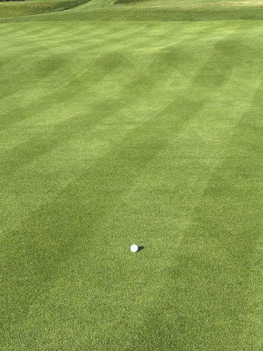 dean muir tweet media