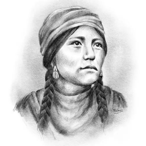 Craig Baird - Canadian History Ehx tweet media