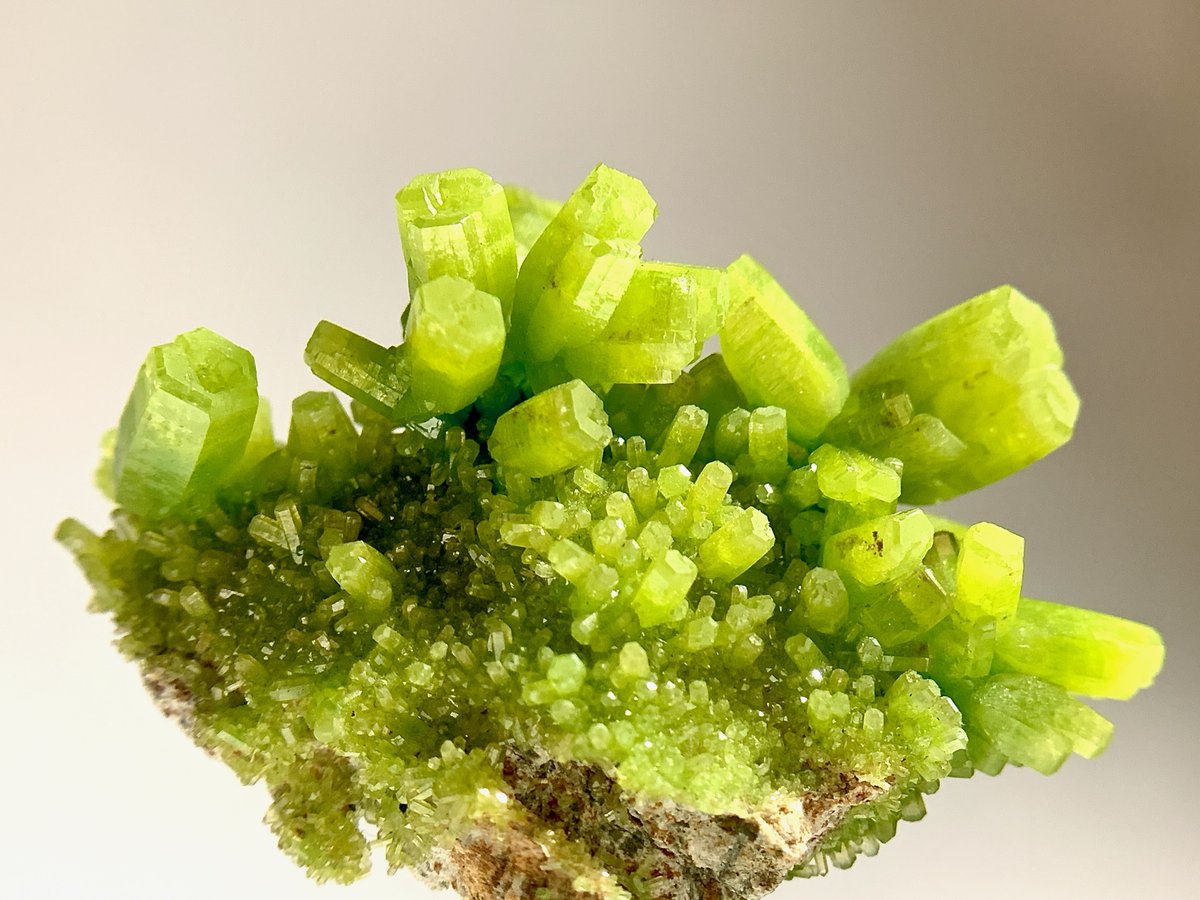 Galihさんの専門ページ カズホ on X