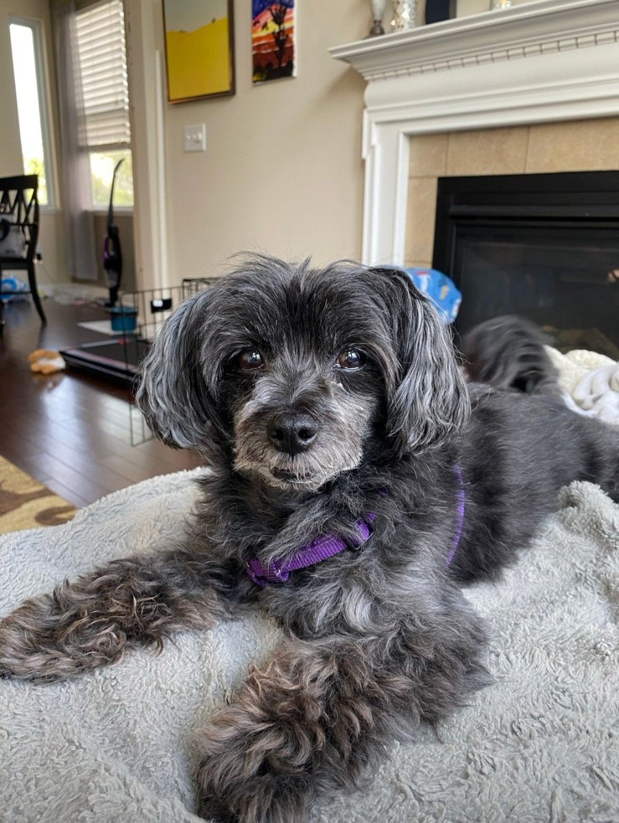 Harrete Gavin🇺🇲 (@harrete2) on Twitter photo 