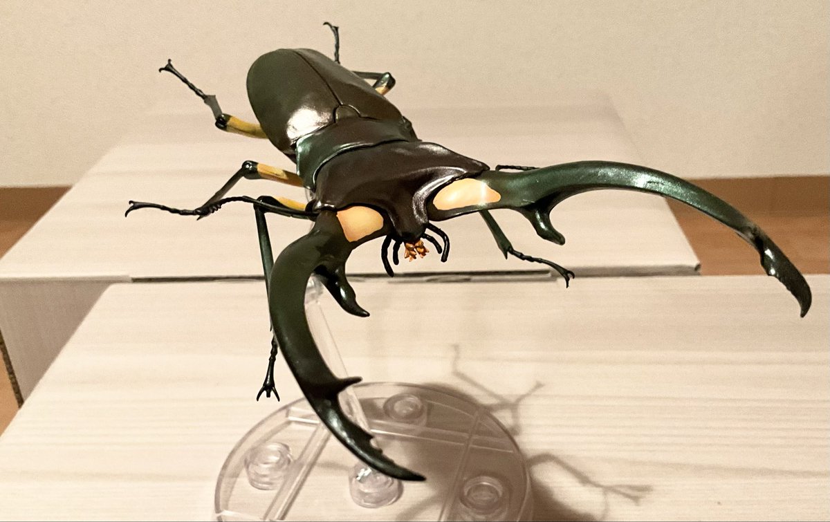 【カモノハシ太郎】 Two Brothers M2 Slip-On Exhaust Kawasaki ZX6R / ZX636 2005