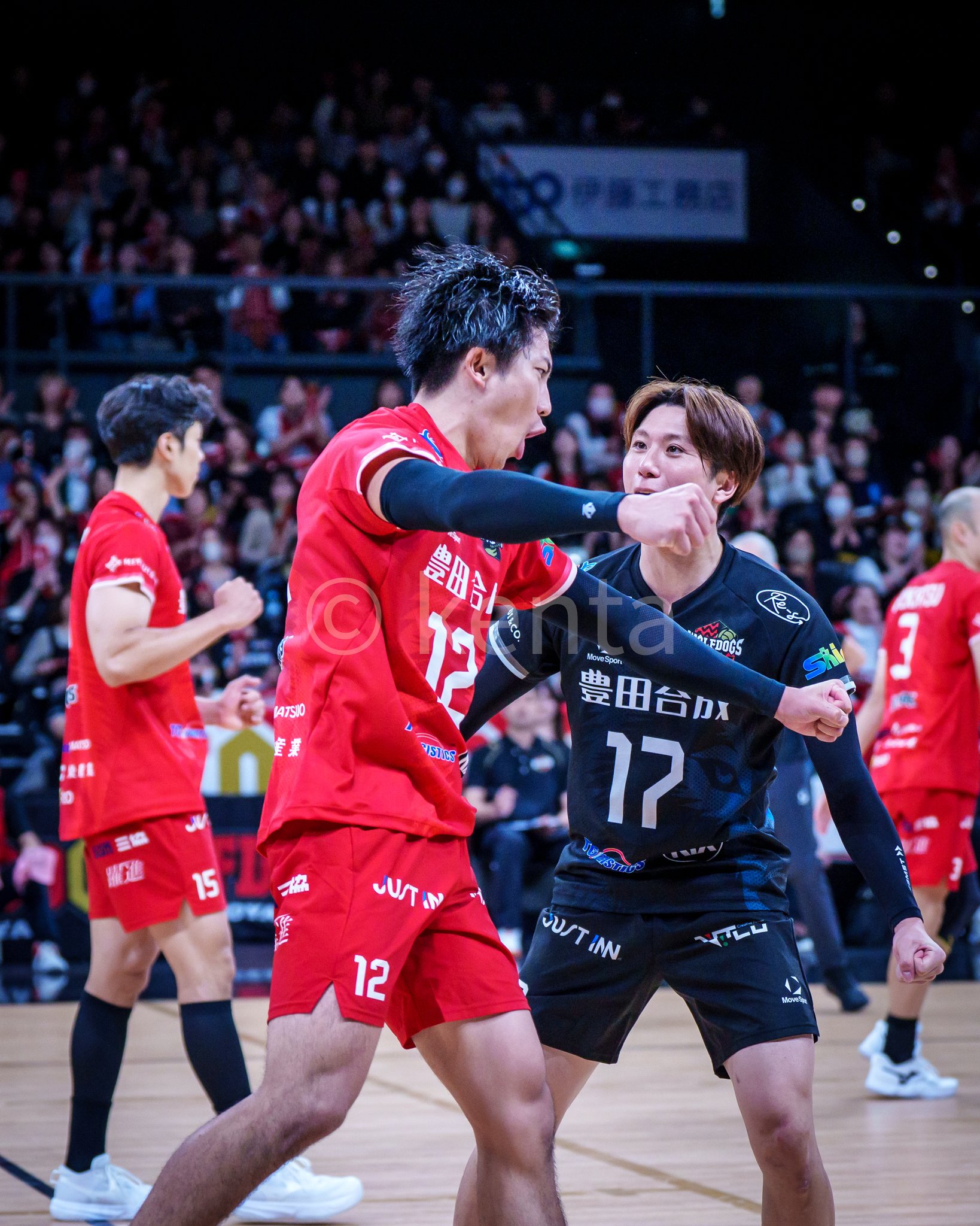 ウルフドッグス名古屋 市川健太選手 ウルフドッグス名古屋 オフィシャルサイト | 市川 健太 | 選手