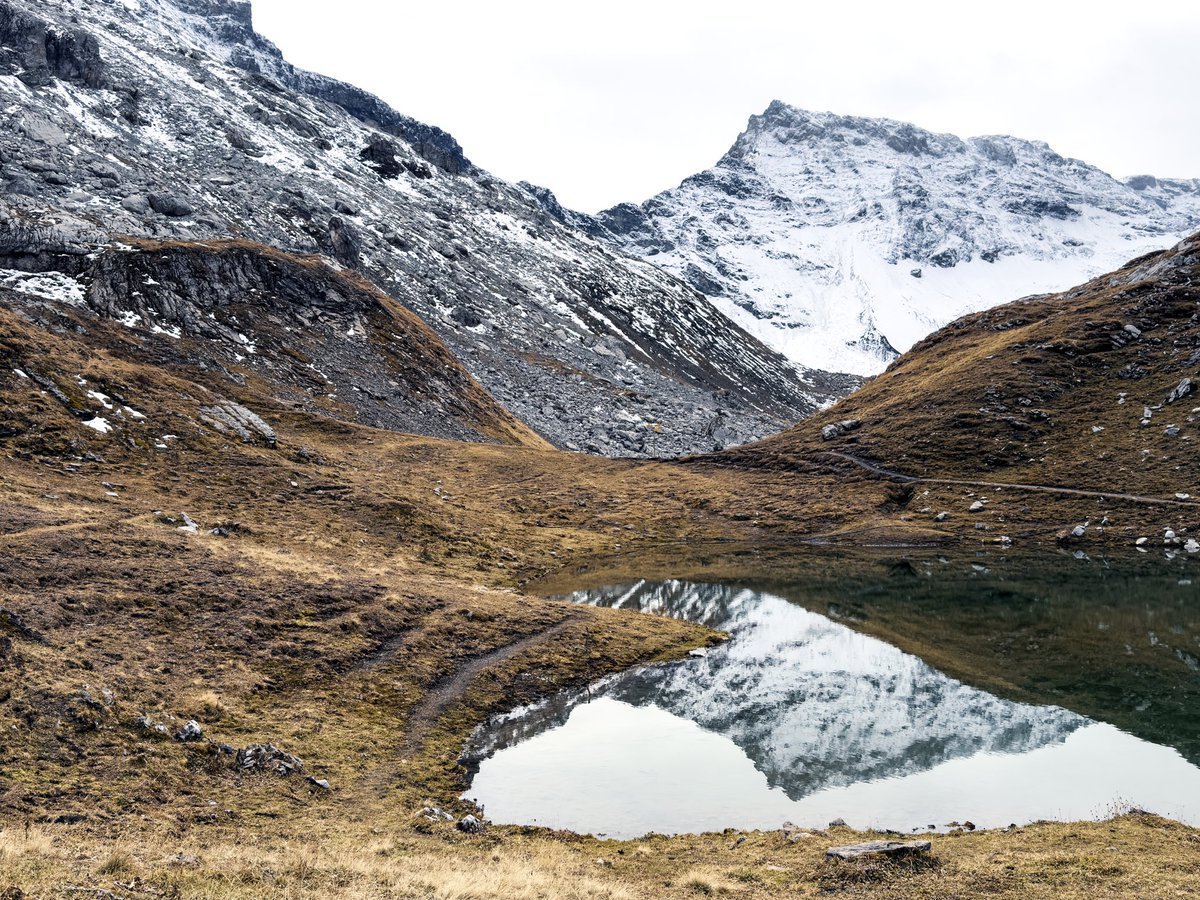 Ryan Cash tweet media