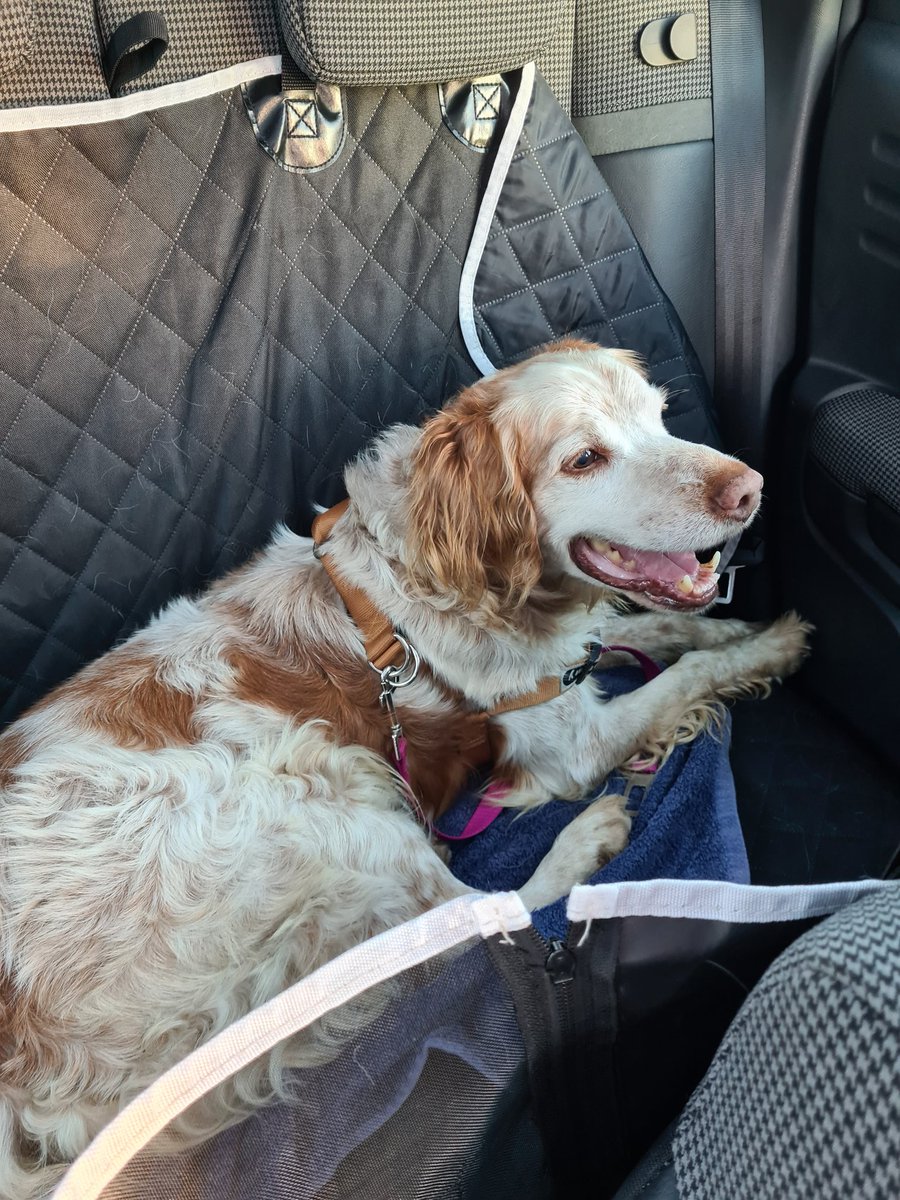 Reyes Solares tweet media