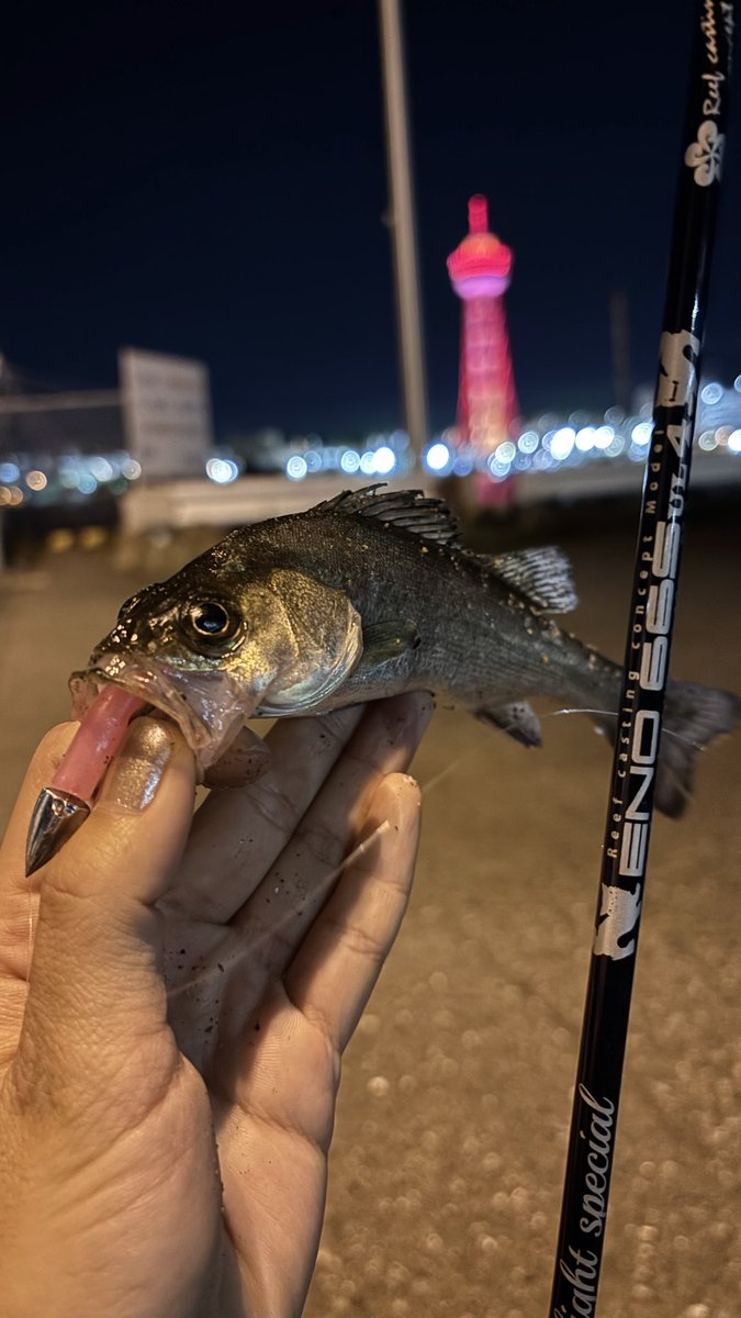 i72tx's tweet photo. バースデイフィッシュ
ありがとうございます🐟✨ https://t.co/WpFjoENpVE