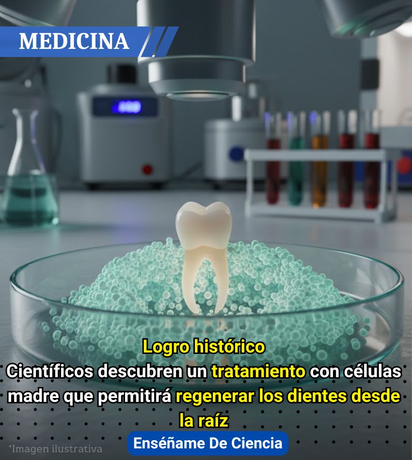 EnsedeCiencia's tweet photo. https://t.co/VnR9pCeQmr