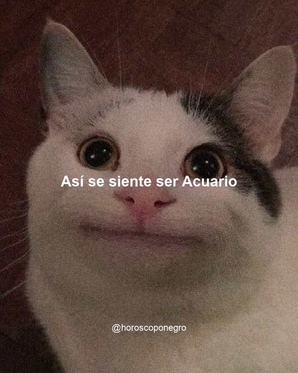 acuario_hn's tweet photo. ¿Qué mood te representa más? 😂 https://t.co/VkrcEcXymH