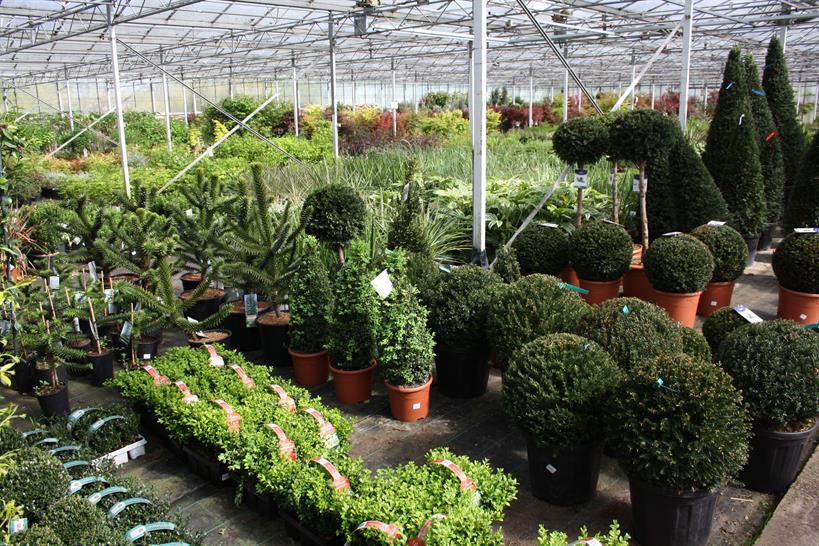 hortweek's tweet photo. Find out more about Four Oaks Cash &amp; Carry on Marketplace: https://t.co/iwBNy0CPy7

A family-owned business for over 50 years, serving the country with high-quality plants &amp; garden supplies from all over the world. Located just 5 miles from junction 18 of the M6 motorway #Ad https://t.co/H2tChqWaoi