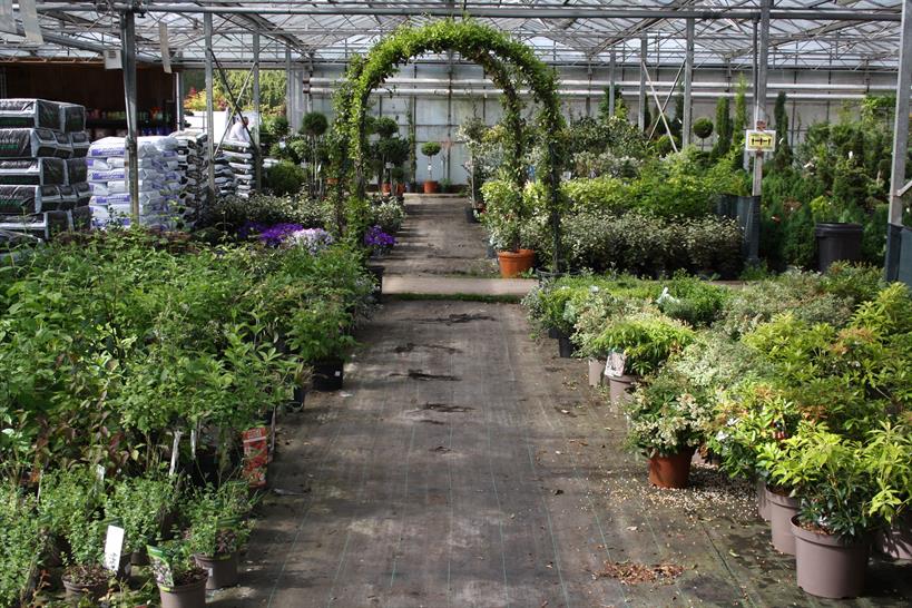 hortweek's tweet photo. Find out more about Four Oaks Cash &amp; Carry on Marketplace: https://t.co/iwBNy0CPy7

A family-owned business for over 50 years, serving the country with high-quality plants &amp; garden supplies from all over the world. Located just 5 miles from junction 18 of the M6 motorway #Ad https://t.co/H2tChqWaoi