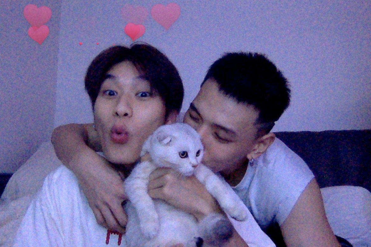 stobelykha's tweet photo. iloveyousomuch✨💗 https://t.co/MwZuC2Qe2l