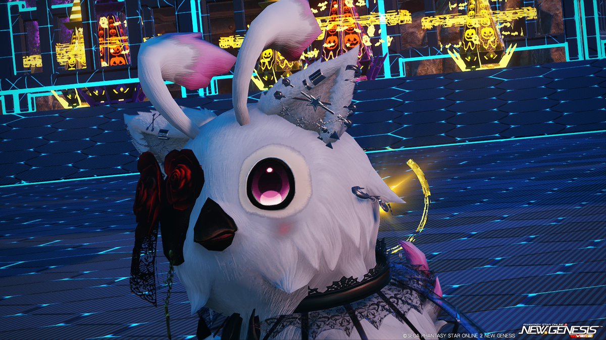 新しいマントをつけて～🐥　#PSO2NGS
後すごいですね！新しい期間限定クエスト力入っていて楽しかったです🐥