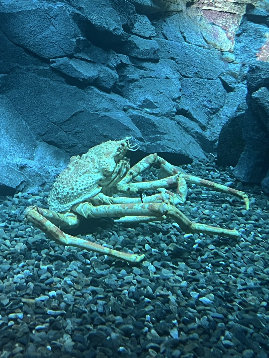 みゆ11/28誕生日会🎂 on X