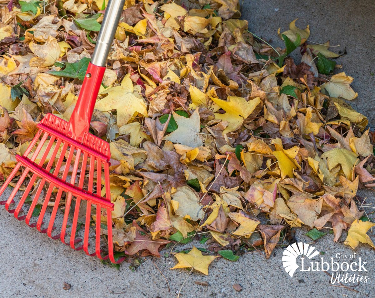 COLUtilities's tweet image. Don&apos;t forget to follow our leaf disposal guidelines for curbside pickup! We want to make sure that the streets and storm drains are kept clear. Thank you for helping us keep the community clean! bit.ly/3Klrdgx