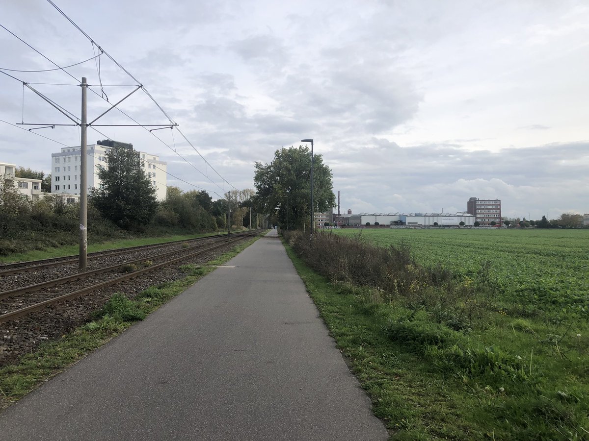 Beniluricat's tweet photo. それでは、ペット売ってないペットショップへ行ってきます🖐️歩いて行くね🏃‍♀️‼️
皆さんも猫🐱ちゃんの乳癌チェック終わりましたか？
#キャットリボンの日🎀 https://t.co/tVed73qRbG