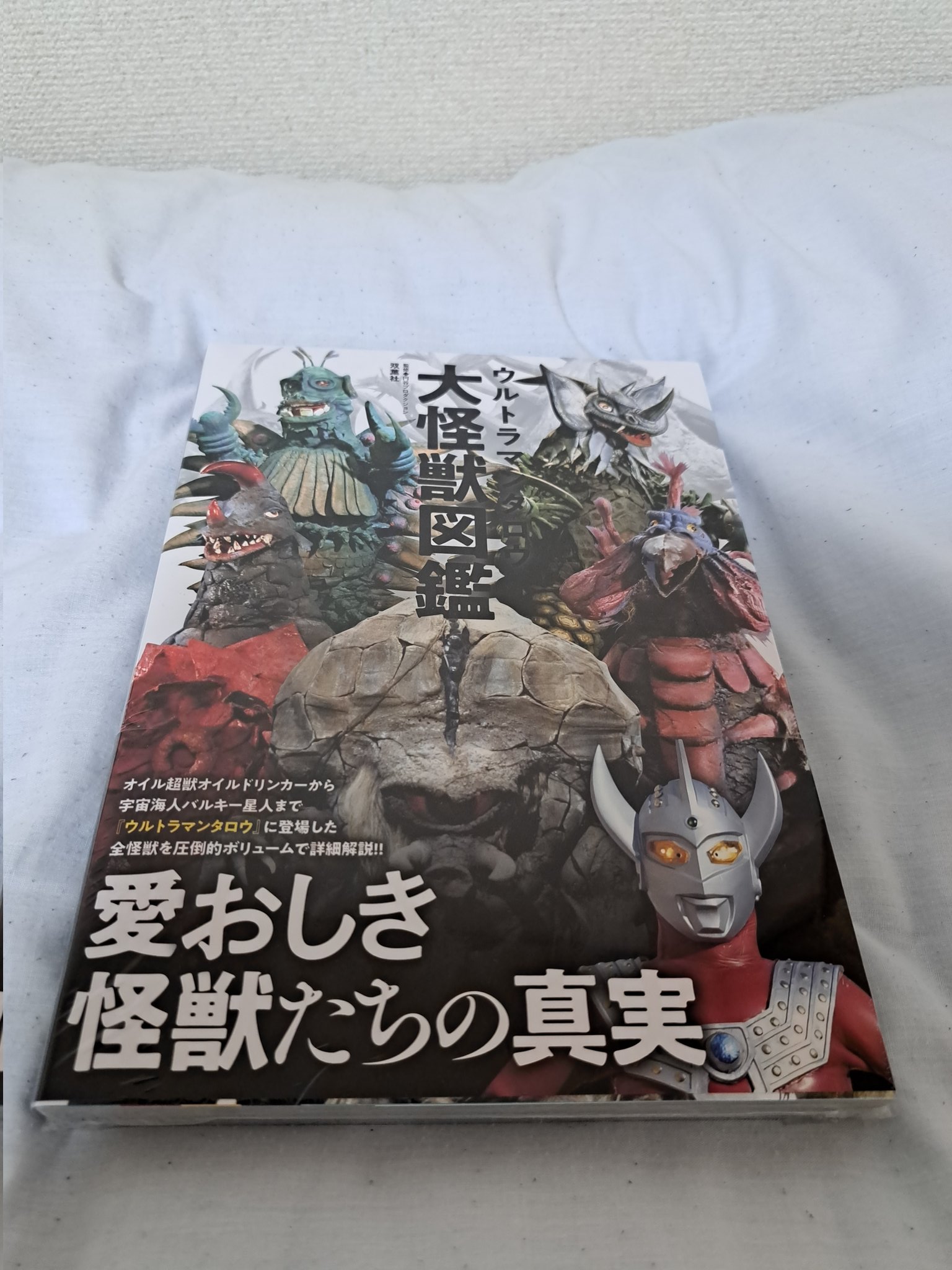 くろべえ (@kurokurobey) / X