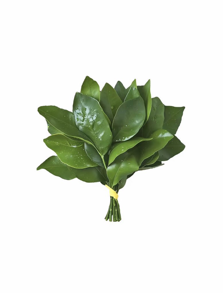 大数据是不会骗人的

刷到的宝宝顺顺利利好运连连🥳