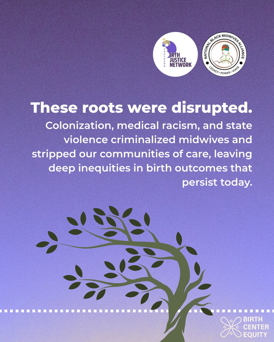 Southern Birth Justice Network tweet media