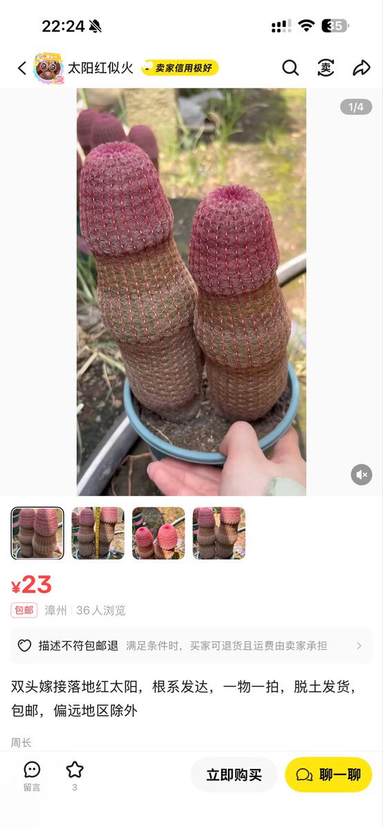 不用我说这像什么了吧？