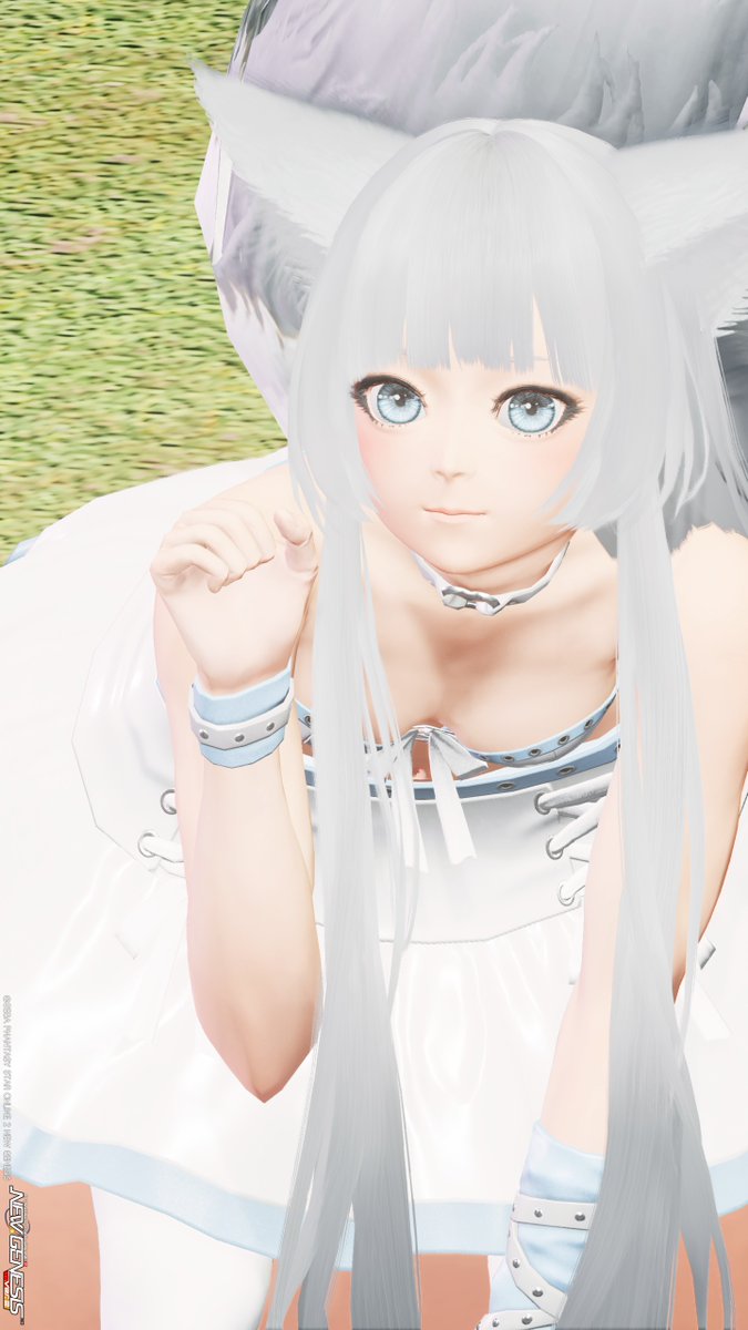 おはもふ(*´ω｀*)♪
今回の衣装結構露出が…(/ω＼)可愛い衣装ではあるけどね
とりあえず猫になって誤魔化してるのでセーフなはず！(｀・ω・´)ﾌﾝｽ