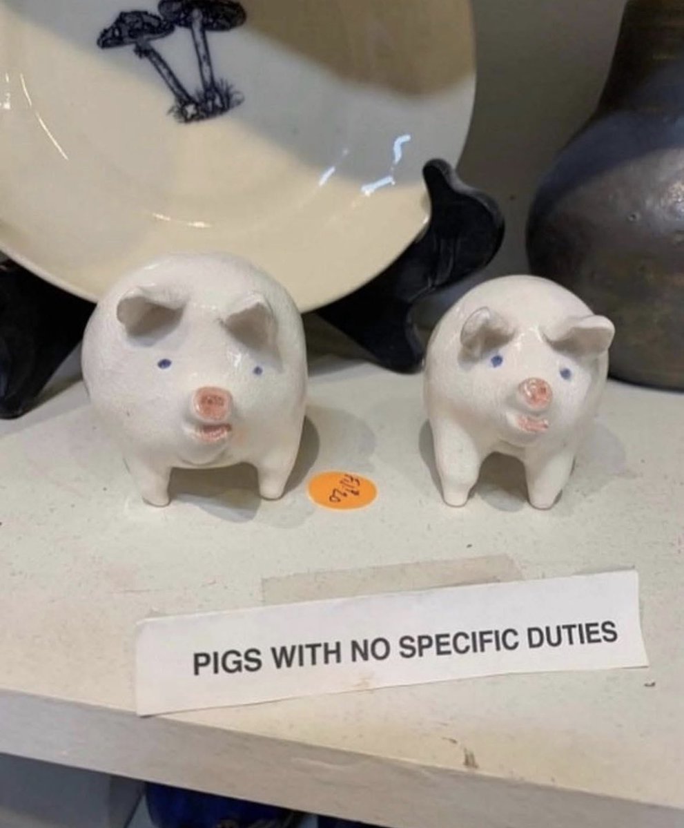 ADHDForReal's tweet image. Found my tribe