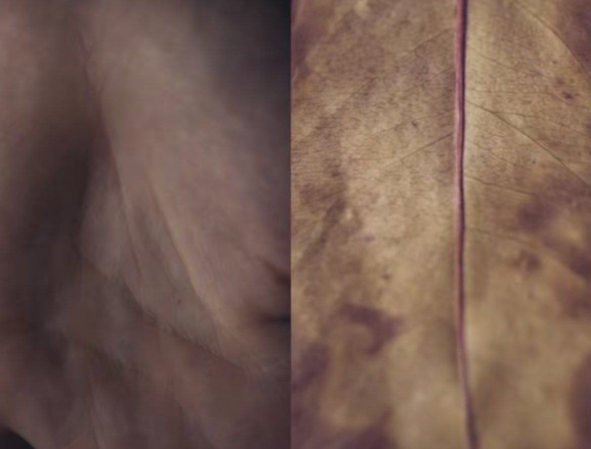 Karms𓂀☆ (@artbykarma) on Twitter photo 