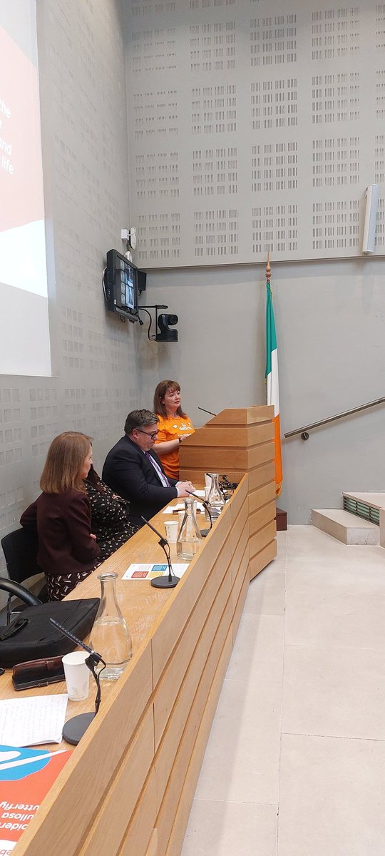 debraireland's tweet photo. “You are punished in every single way.”
Powerful testimony from Amanda Nugent, who lives with EB, at Leinster House.
#EB #butterflyskin #EBbutterflyreview #EBAwarenessWeek https://t.co/kCjkAHd1NM