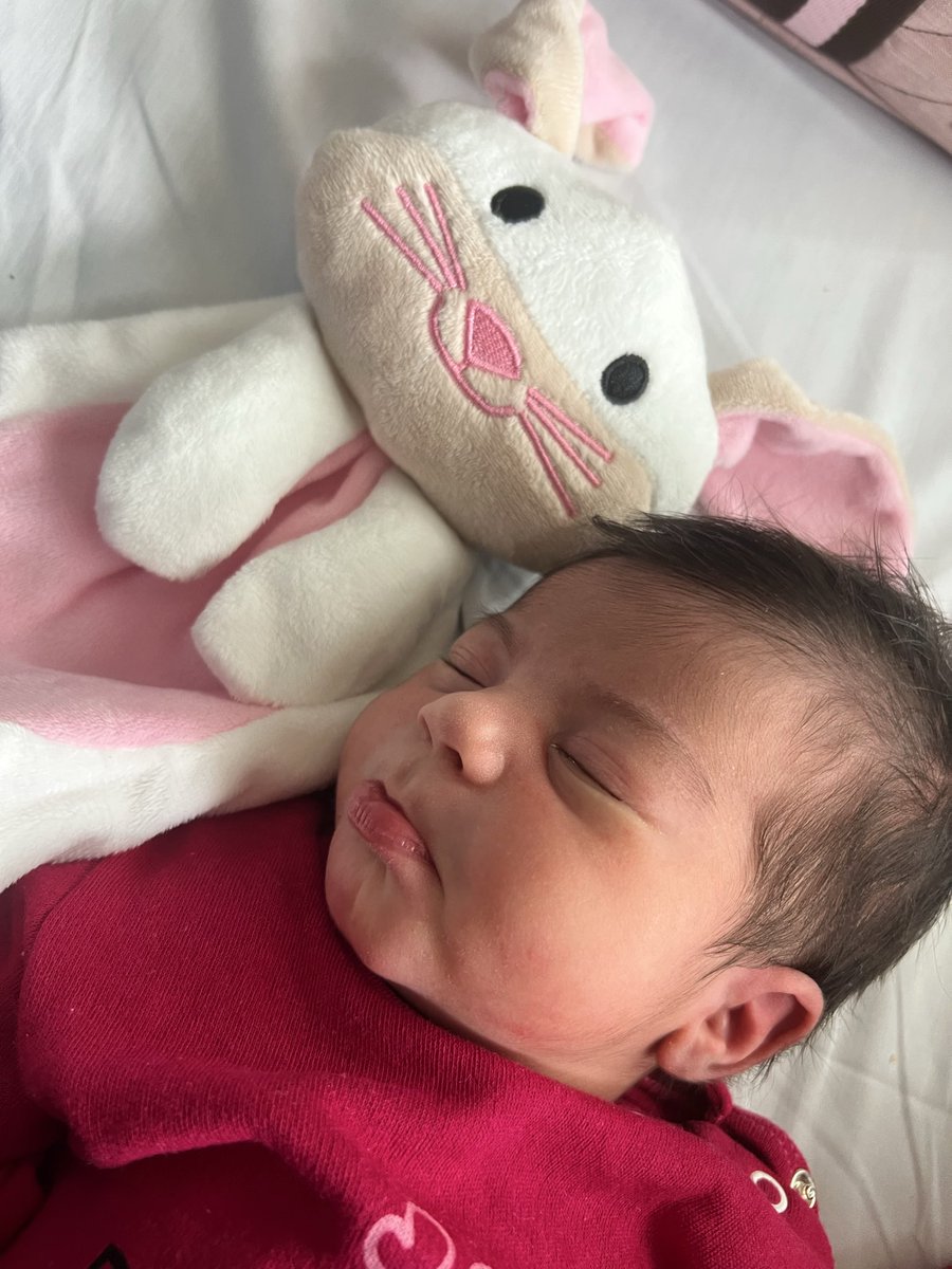 abarbosaa__'s tweet photo. Aqui vai virar um fã club pra minha filha de tão linda q ela é 🥹🤏🏽 https://t.co/Wi3eMhB6Ug