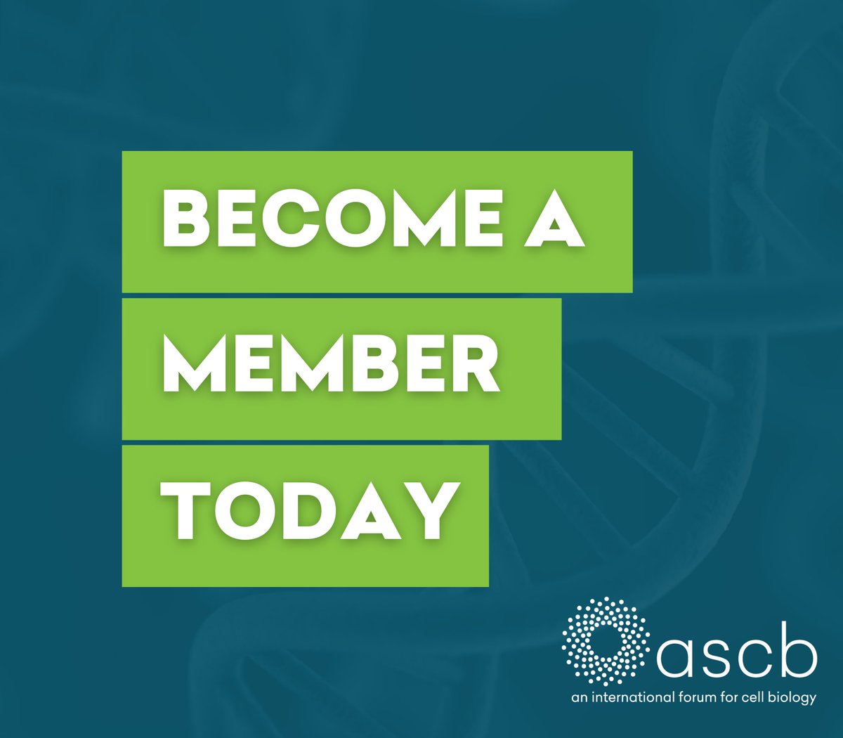 ASCBiology's tweet image. Join a global community of cell biologists! ASCB offers memberships for every career stage — students, postdocs, educators and industry pros. Access resources, events and expert networks.  👉 ascb.org/membership/ #ASCB #CellBiology #ScienceCommunity #CareerGrowth