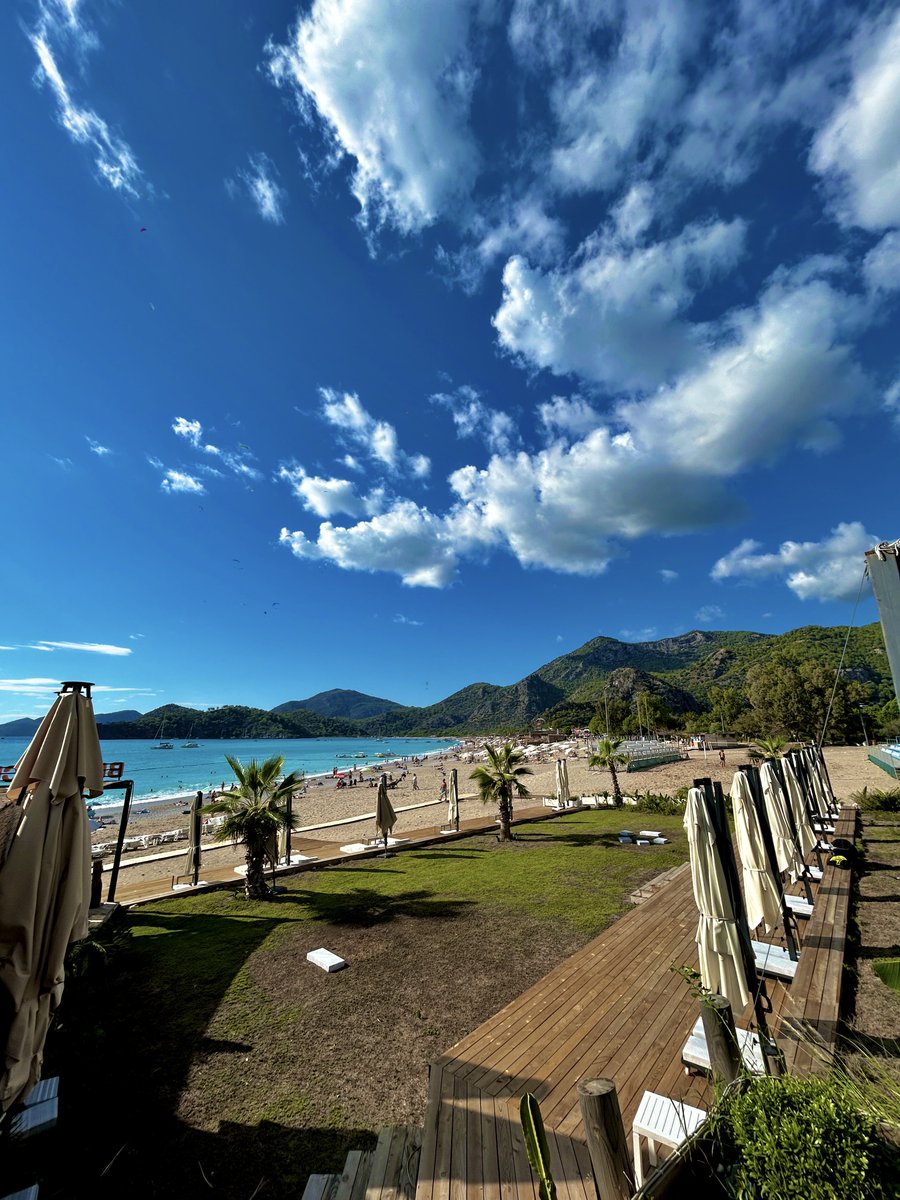 Ben Warren 🏏 tweet media