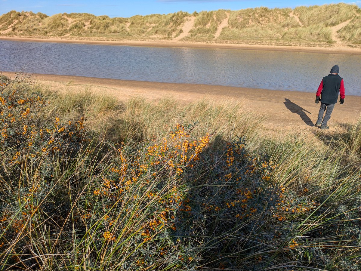 Simply gorgeous at Wells next the sea today, before the storm arrives....