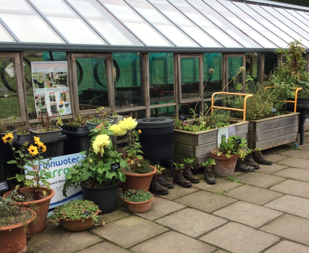 Year Three Trip- Harlowe Carr...