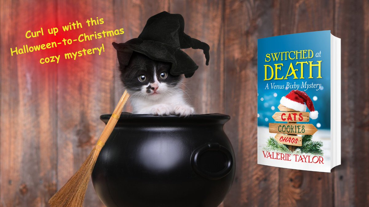 ValerieEMTaylor's tweet image. From #pumpkins to mistletoe, this #sleuth finds murder every season 🎃🎄
Curl up with 𝑺𝒘𝒊𝒕𝒄𝒉𝒆𝒅 𝒂𝒕 𝑫𝒆𝒂𝒕𝒉: 𝑨 𝑽𝒆𝒏𝒖𝒔 𝑩𝒊𝒙𝒃𝒚 𝑴𝒚𝒔𝒕𝒆𝒓𝒚— a #cozymystery full of charm, cats, and chills! 🐾 #Halloween #booklovers #readerscommunity