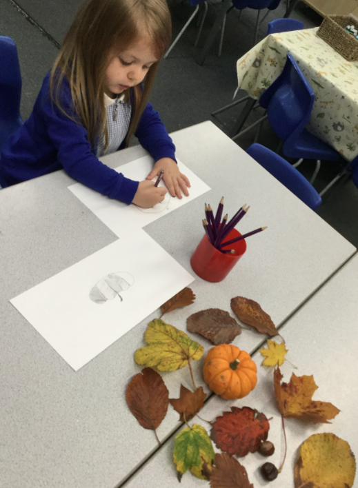 The Upper Foundation children have enjoyed learning about signs of Autumn this week. They have enjoyed exploring a range of Autumn objects and have enjoyed drawing pictures of this objects using sketching pencils. They have learnt how to shade and smudge when drawing.