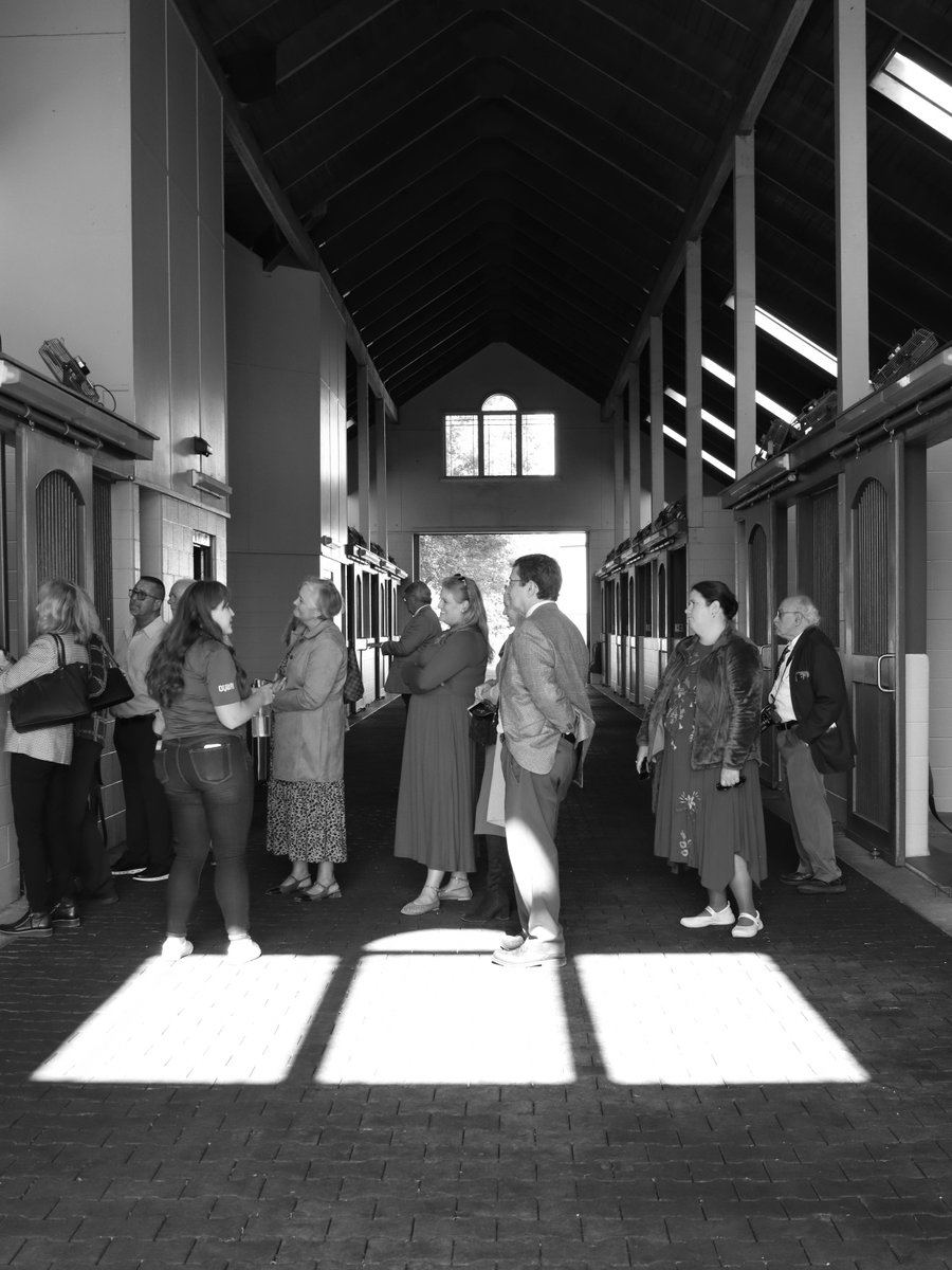 Our 2025 Hindman Day at the Races is in the books! We began the day with a tour of Jonabell Farm, one of the nation's leading thoroughbred horse farms. Guests then joined us at Keeneland and enjoyed a full day of thrilling horse races! 🐎