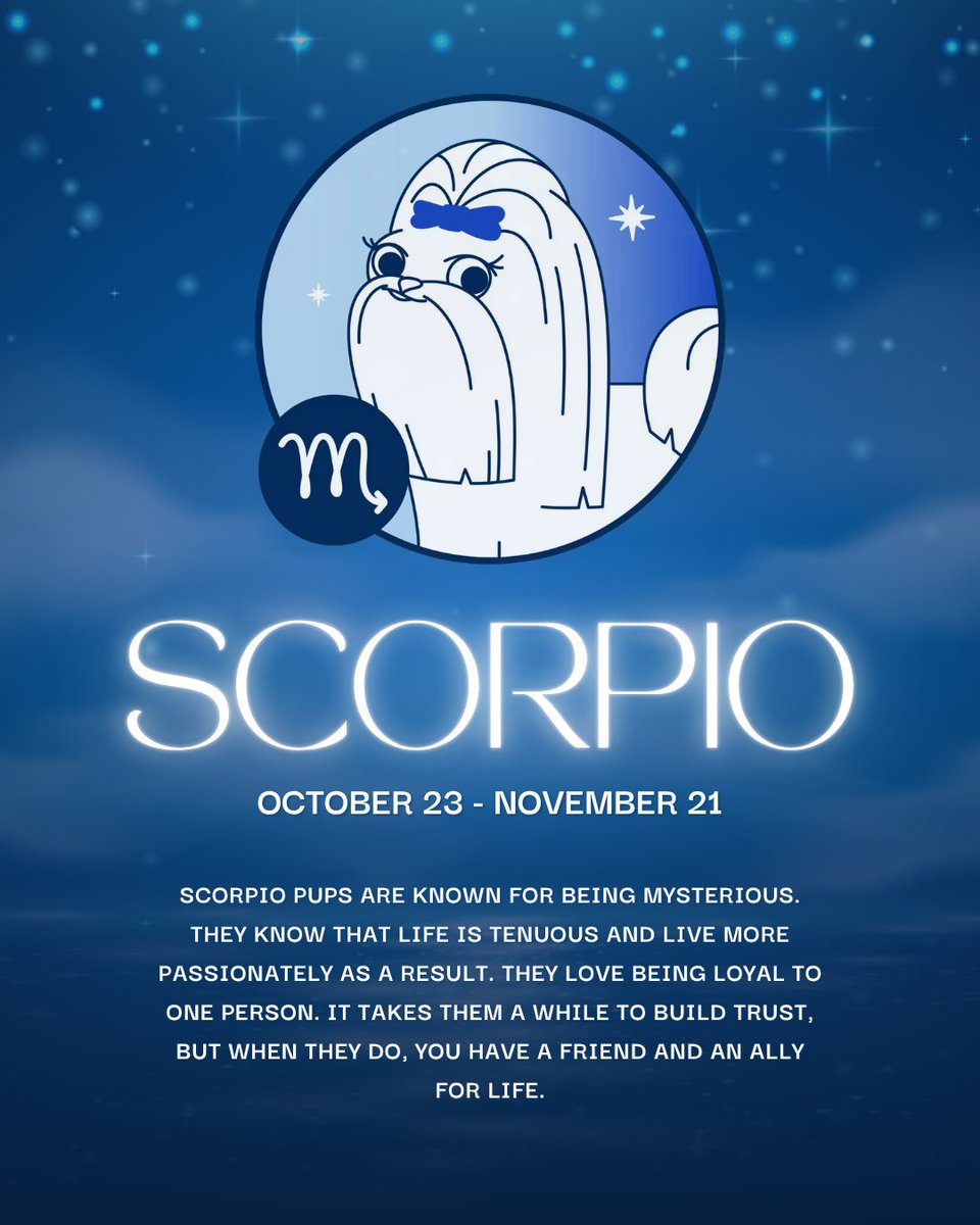 CATCHdogtrainer's tweet image. It's Scorpio pup season! ♏️🐶

Element: Water

Ruler: Pluto

Most compatible zodiac signs:
- Cancer
- Capricorn
- Pisces
......
#CATCHCanineTrainersAcademy #DogTraining #DogTrainer #AnimalEducation #Horoscope