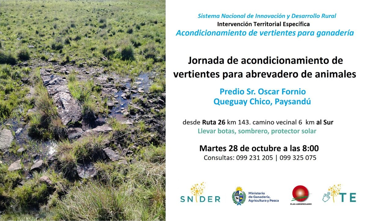 ¡Para agendar!
🗓️28/10⏰8hs📍Queguay Chico, Paysandú

Jornada de campo 
✔️Acondicionamiento de vertientes para abrevadero de animales
📌Predio de Oscar Fornio
➕ℹ️ acortar.link/1zAXRU

¡Te esperamos!
<a href="/MGAPUruguay/">MGAP</a> #DescentraUy #SNIDER #ITEVertientes #PlanAgro