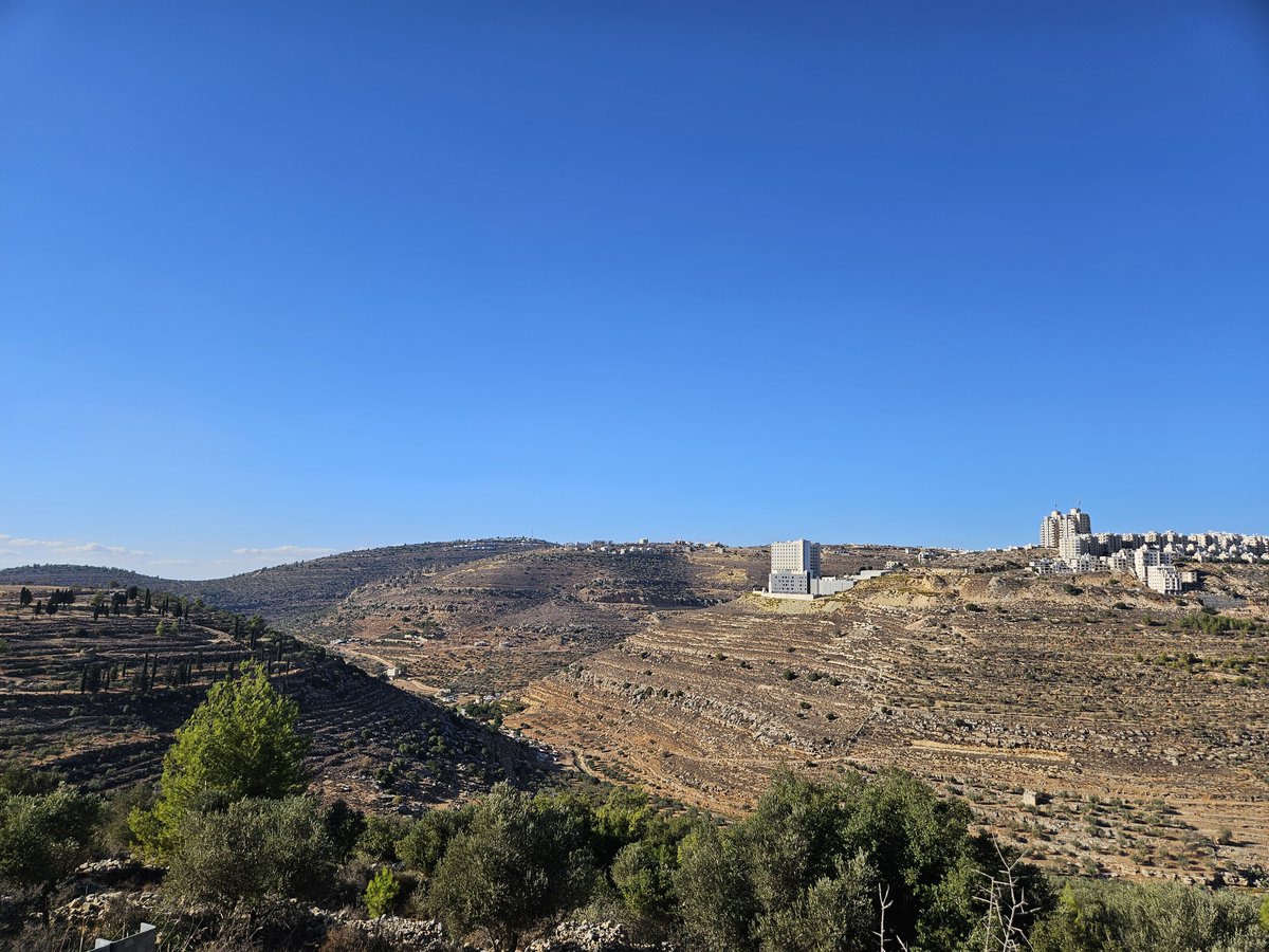 anode manuka 🇵🇸 🌍 tweet media