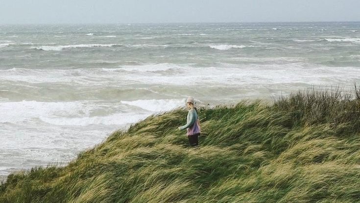 moodyonmoon's tweet image. 