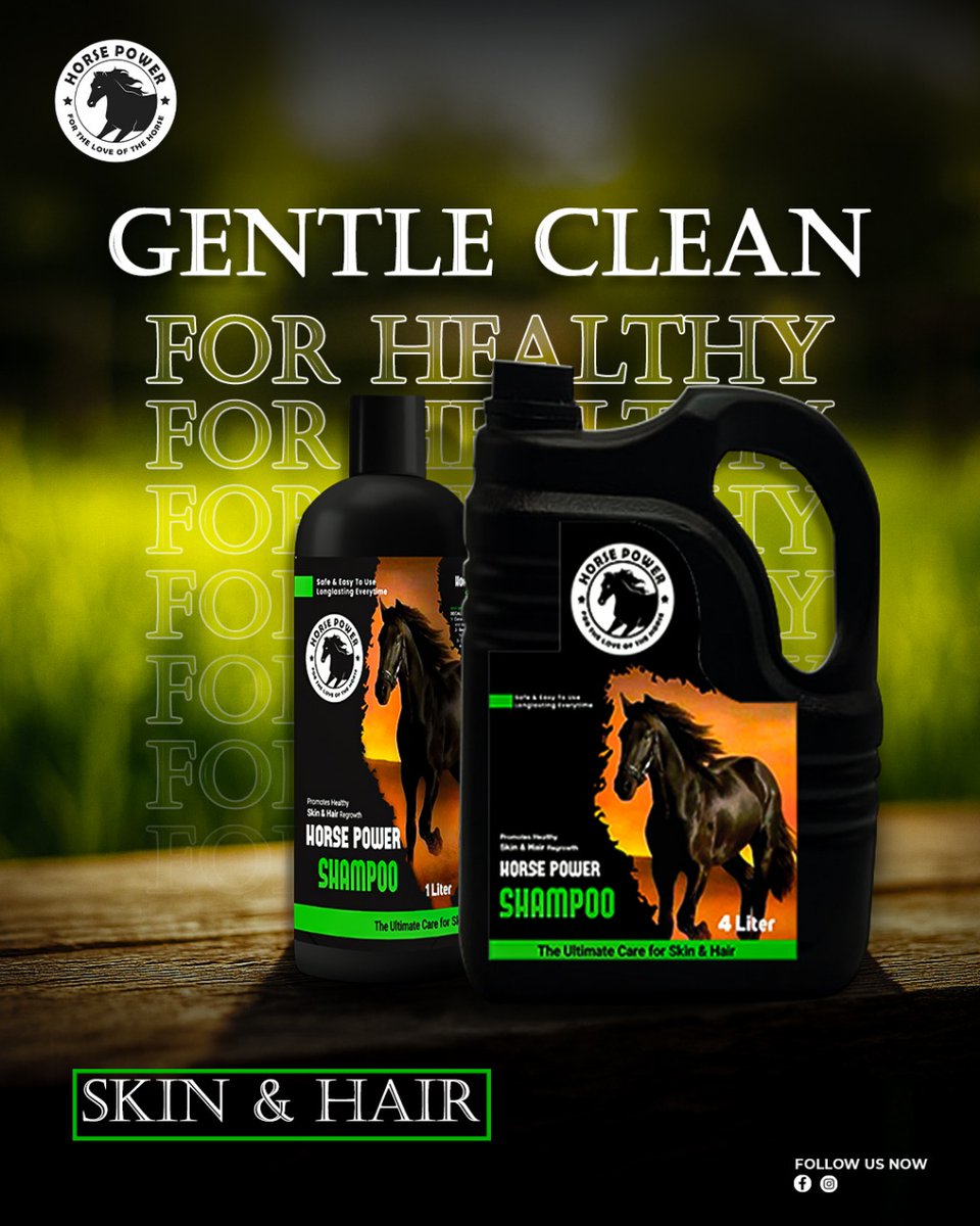 Root to Horse Power (@HorsePower_Egy) / Posts / X