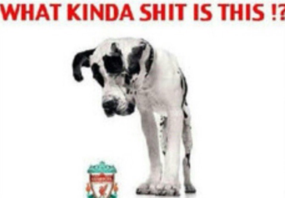 TheChelseaForum's tweet image. Honestly