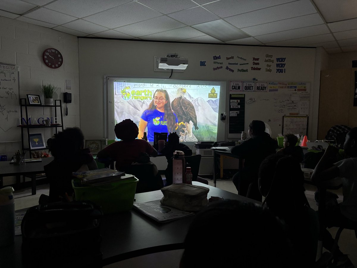 Today, as part of the <a href="/takemeoutside/">Take Me Outside</a> lessons, we watched a quick segment on the bald eagle! Go Eagles Go! 🦅 <a href="/StElizabethOCSB/">St. Elizabeth School</a>