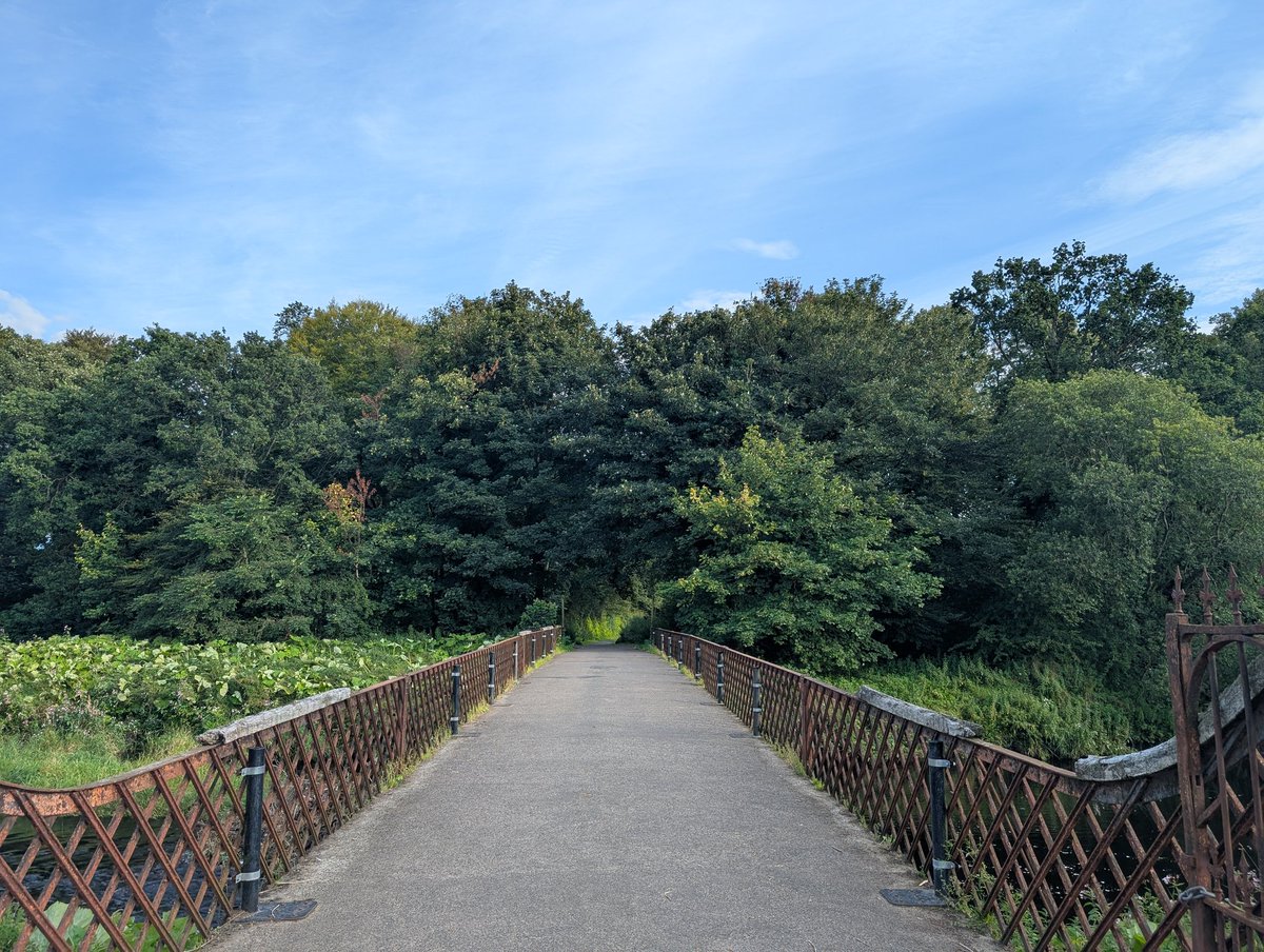 Into the woods #nature #scotland #ayrshire