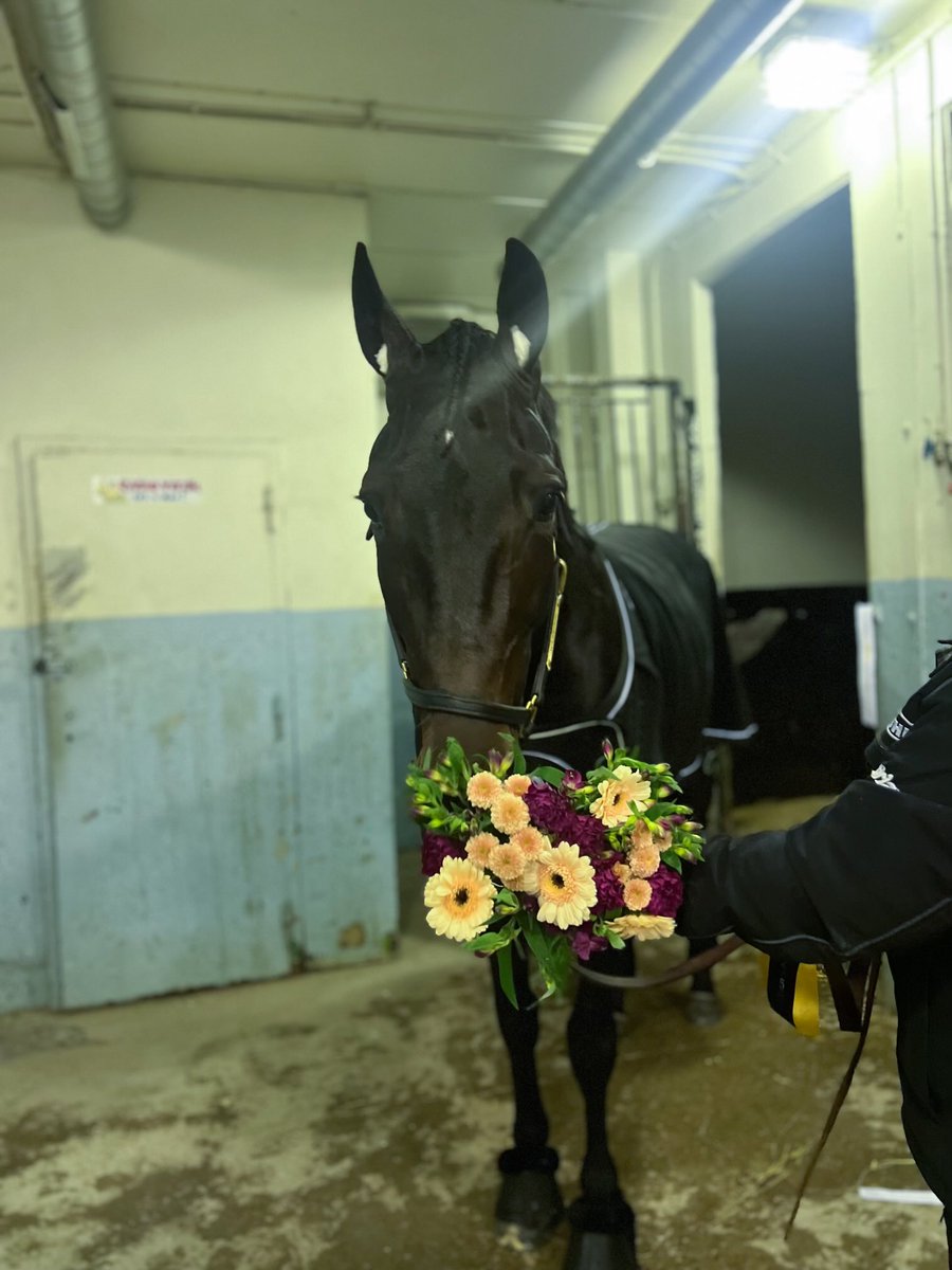 Solvalla 22 oktober vinnare lopp 1, Mister Nabab!

Segertid: 15,7a 2140m
Ägare: Ecurie Jean-Pierre Barjon
Skötare: Camilla Björk